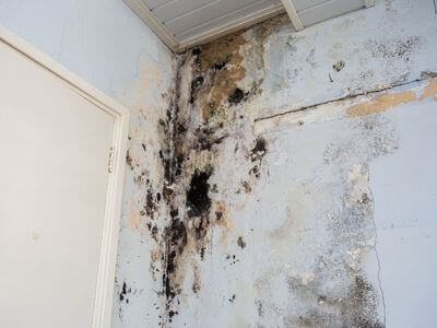 About WPB Fire Damage Pros - fire damage restoration experts in West Palm Beach